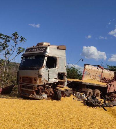 CERCA DE 90 ANIMAIS: Acidente entre caminhões na BR 158 entre Confresa e Vila Rica deixa animais mortos e rodovia bloqueada