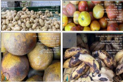 MAIS DE 420 ITENS APREENDIDOS : Supermercado em Porto Alegre do Norte (MT) é acionado pelo MP por vender produto impróprio ao consumo