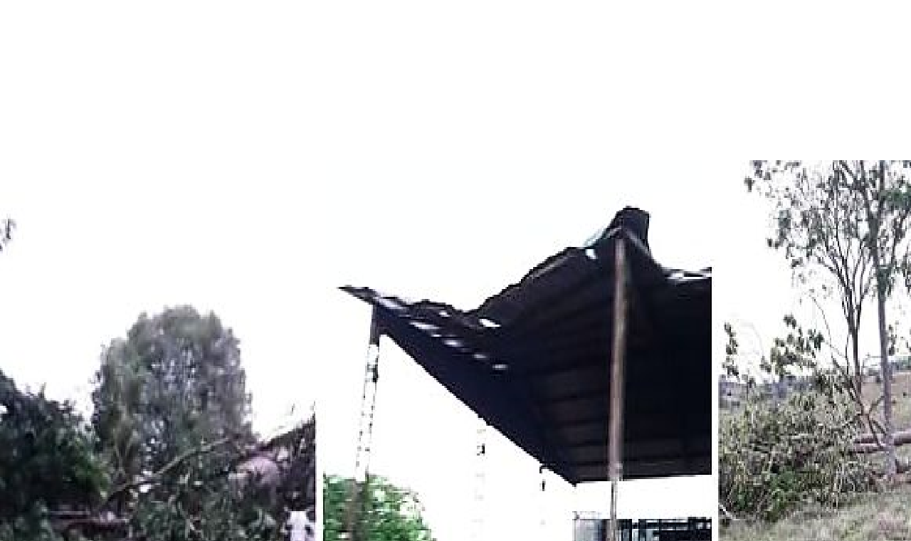 Ventania destrói parte de galpão de pecuarista em Campinápolis; Seguro da Sicredi Araxingu cobre danos causados