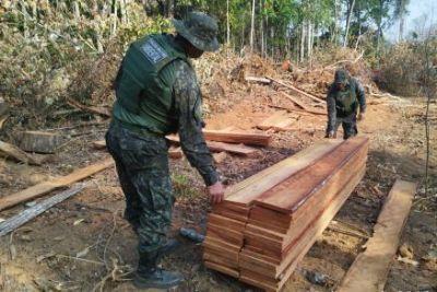 AÇÃO ILEGAL: Fazendeiro é multado em mais de R$ 100 mil por desmatamento ilegal em Querência (MT)