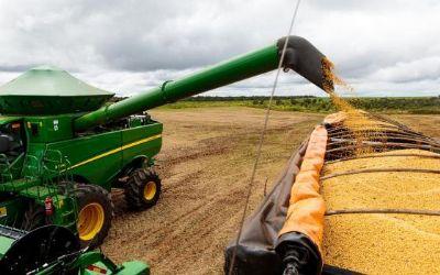 AGRICULTURA: Querência e Canarana estão entre maiores produtores de soja do país