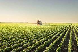 AGRICULTURA: Querência (MT) está entre os maiores produtores de soja do país