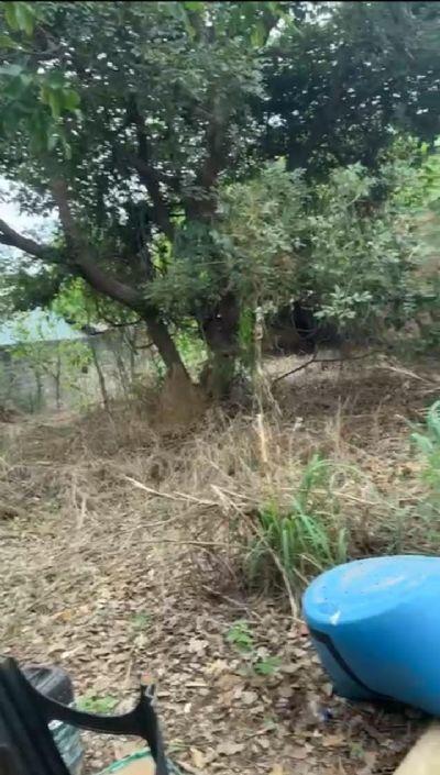 VEJA VÍDEO: Aluno de auto escola em Confresa (MT) denuncia descaso: 