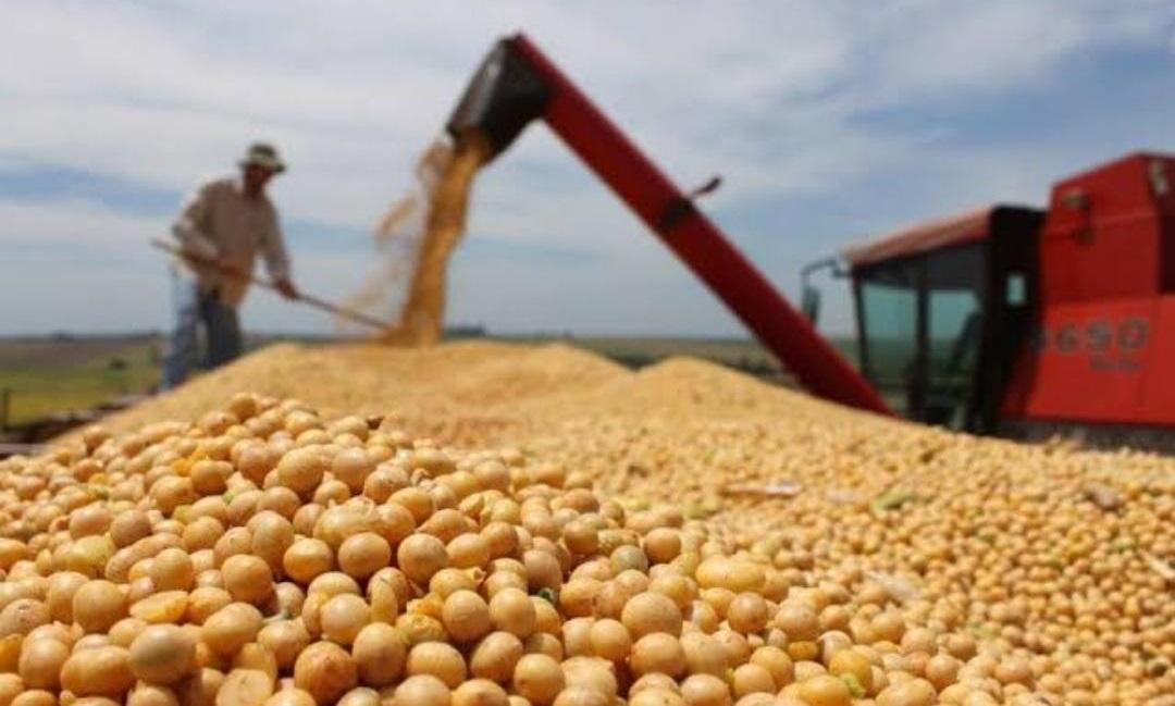 Falta de chuva gera atraso no plantio da safra de soja no Mato Grosso