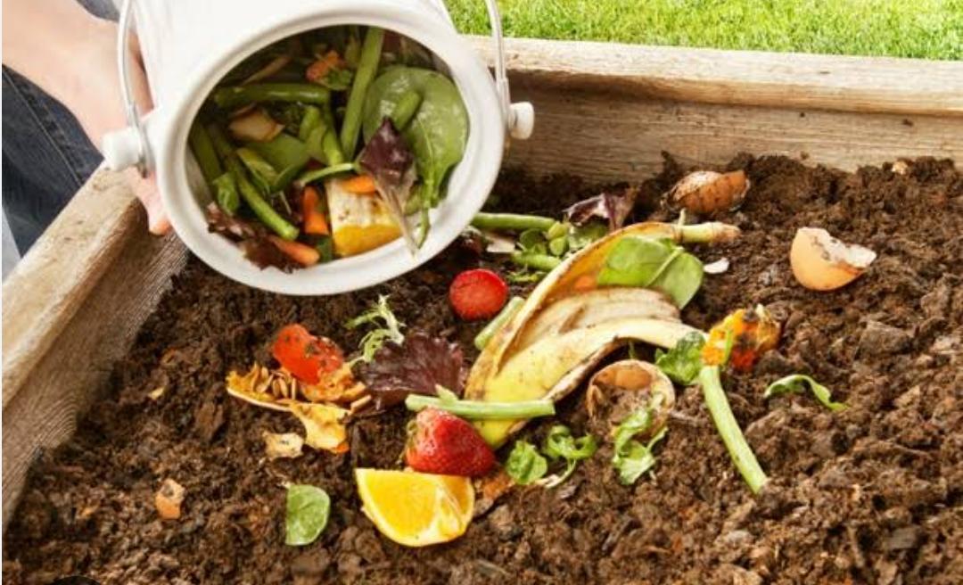 Compostagem :Como reciclar lixo orgânico