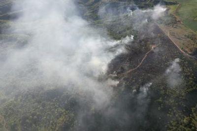 SENDO MONITORADO: Incêndio atinge divisa entre santuário de elefantes e fazenda em Chapada dos Guimarães (MT)