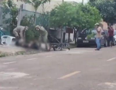 VÁRIOS FERIMENTOS: Pai e filho são atacados por enxame de abelhas após colmeia cair no chão por conta de ventania em MT