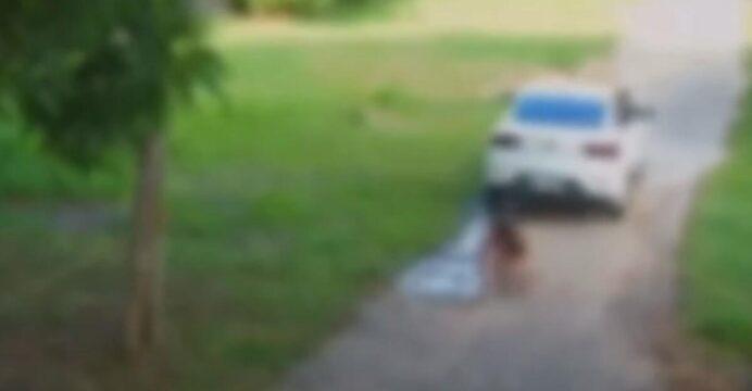 VÍDEO: CRIANÇA DE 7 ANOS É ATROPELADA ENQUANTO BRINCAVA EM RUA SEM SAÍDA
