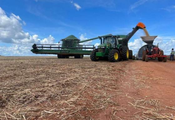 CRISE NO CAMPO Juiz antecipa blindagem de grupo do agro que acumula dívidas de R$ 122,1 milhões