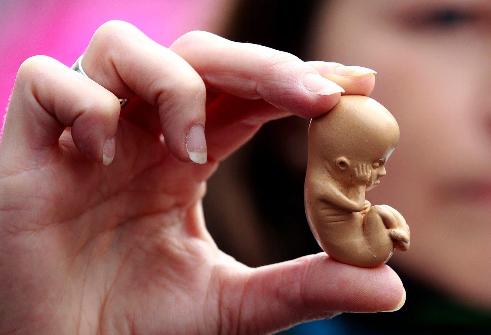 Ministra de Lula recua e suspende nota técnica sobre aborto