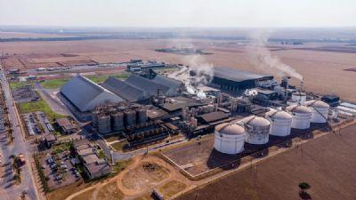 5,72 BILHÕES DE LITROS: Pela 1ª vez, MT se torna o 2º maior produtor de etanol no país