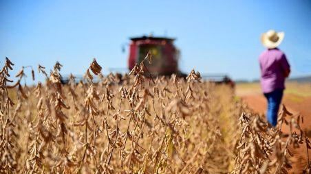 Brasil deve colher 155 milhões de toneladas de soja, diz USDA