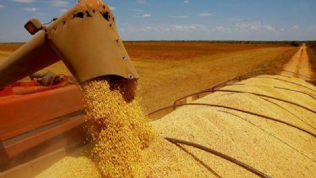Brasil deve exportar 96 milhões de toneladas de soja em 2024, diz consultoria