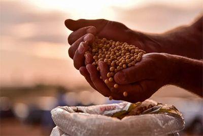 'Fundo do poço já passou', diz analista sobre preços da soja
