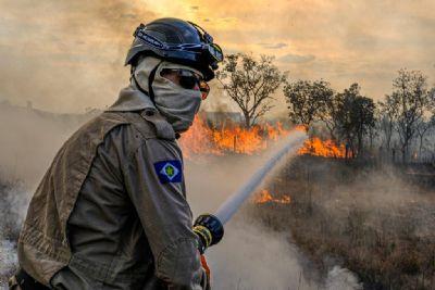 TOLERÂNCIA ZERO: Governo de MT estabelece período proibitivo de uso do fogo com prazos ampliados e diferentes para Amazônia, Cerrado e Pantanal