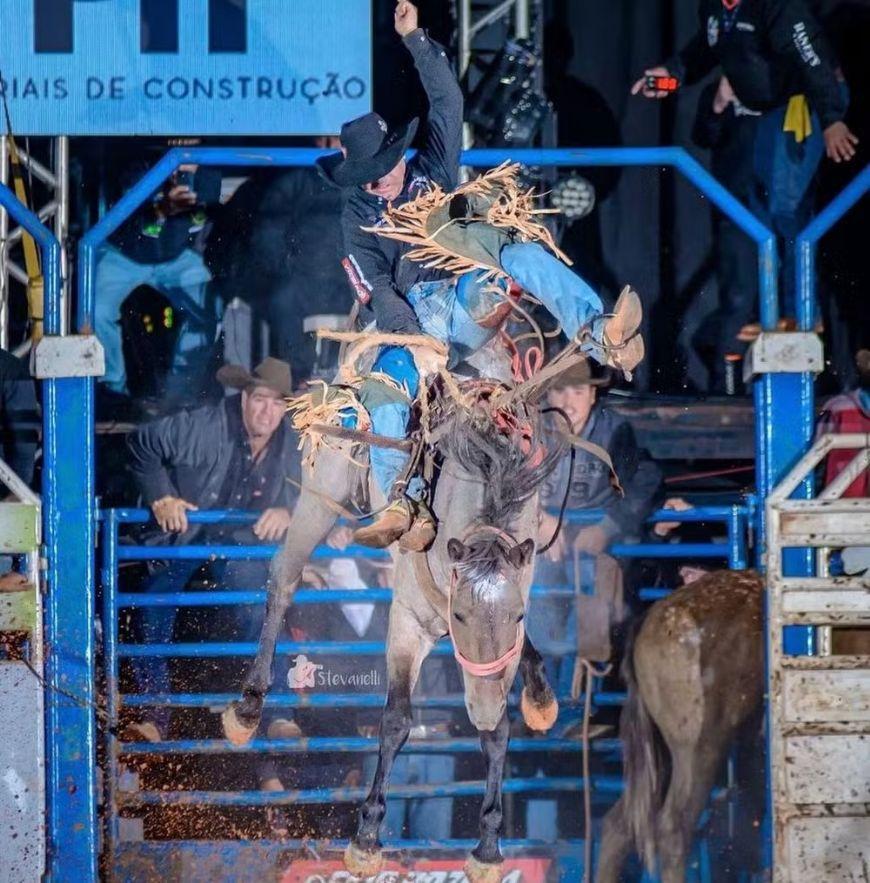 Égua 'lenda' de rodeios pelo Brasil morre após suposta picada de cobra em Água Boa (MT)