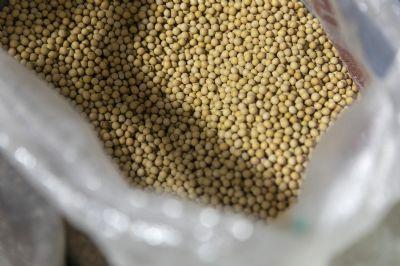 Real fraco motiva China a acelerar as compras de soja do Brasil