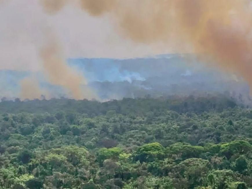 Incêndio na Ilha do Bananal: nada vem sendo feito pelo poder público, de acordo com denúncia