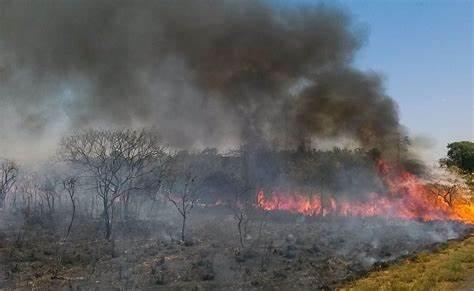 Cidades do Norte Araguaia (MT) estão em alerta vermelho para baixa umidade