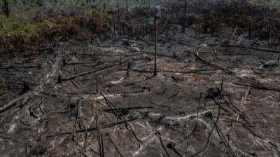 Confresa e outros municípios do Araguaia são incluídos em Programa contra Desmatamento do Governo Federal