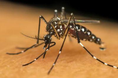 Mato Grosso concentra mais de 84% das mortes por chikungunya no Brasil