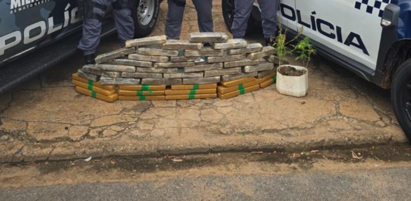 49 quilos de maconha avaliada em R$ 600 mil são apreendidos pela PM em Nova Xavantina (MT)