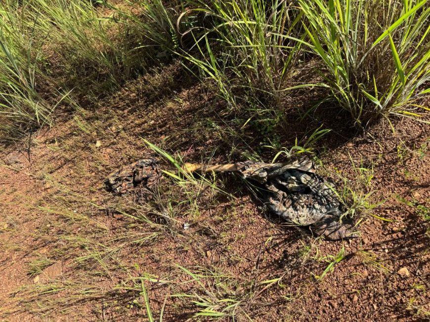 Ossada de jovem desaparecido após ser sequestrado por facção no Araguaia é encontrada pela Polícia civil