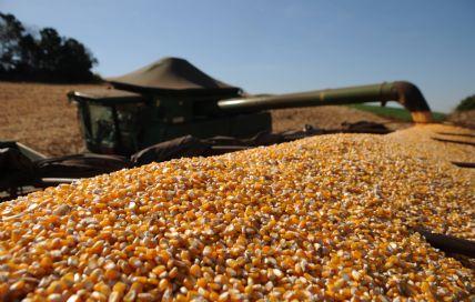 PIB do agronegócio alcança R$ 2,7 trilhões e fecha 2024 com crescimento