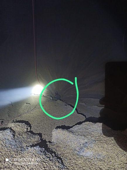 ​Trabalhador morre soterrado em silo de grãos em fazenda de São José do Xingu (MT)