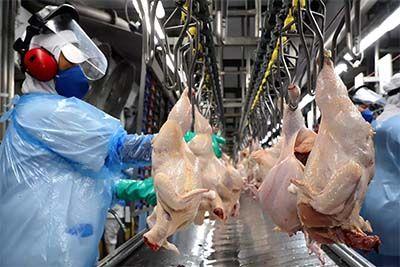China abre cinco novos mercados para produtos do agro brasileiro