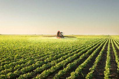 Colheita de soja da safra 2024/25 atinge 97,7% da área no Brasil, diz Conab