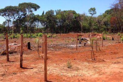Réu por chefiar grilagem de terras no Araguaia (MT), PM fica sem arma e é afastado
