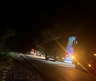 TRAGÉDIA: homem morre após ser atropelado e esmagado por carreta na BR-158 em Confresa (MT)