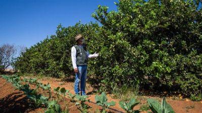 Aprosoja MT reconhece protagonismo de produtores rurais na proteção às florestas durante a estiagem