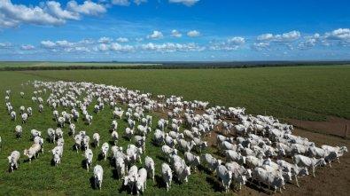Mato Grosso; ATÉ R$ 6 BILHÕES