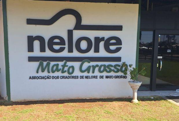 Nelore MT terá estande na Acricorte 2025 e reforça compromisso com a cadeia da carne