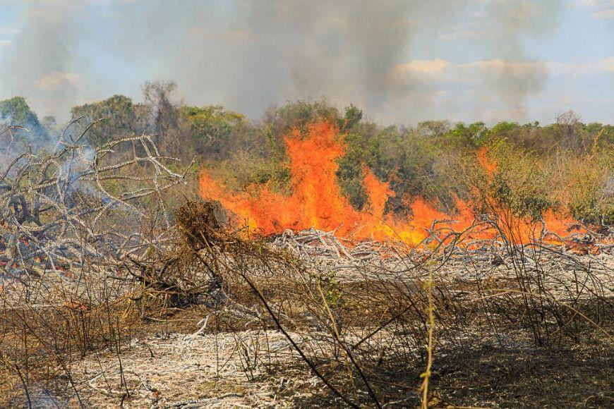 Polícia Militar prende homem por provocar incêndio em zona rural de Vila Rica (MT)