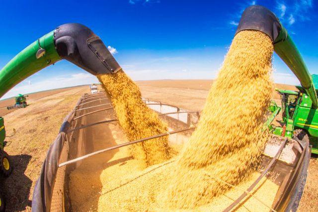 Safra em Mato Grosso - Produção deve passar de 107 milhões toneladas e bater novo recorde