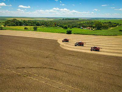São Félix do Araguaia (MT) tem a 3ª fazenda mais cara do Brasil, segundo levantamento