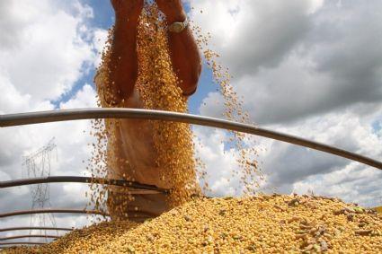 USDA reduz números de soja nos EUA e Brasil em 'modo turbo' na comercialização