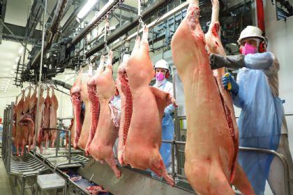 Brasil tende a liderar exportações globais de carne suína até 2030