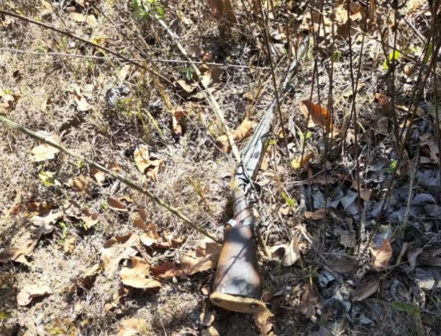Casal morre e neto fica ferido após espingarda disparar durante caçada