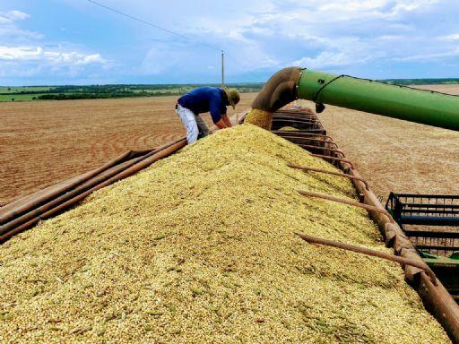 Compras de soja pela China aumentaram 18% em julho
