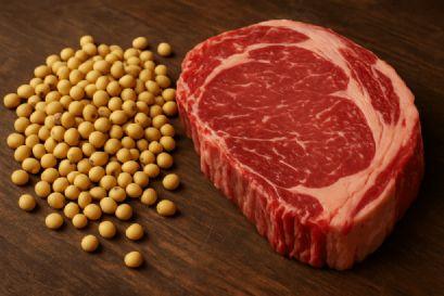 Embarques de carne e soja registram volume recorde de janeiro a julho
