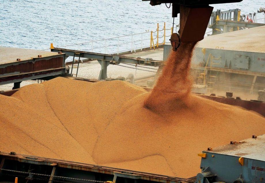 Embarques de soja devem chegar a 8,9 milhões de t em agosto