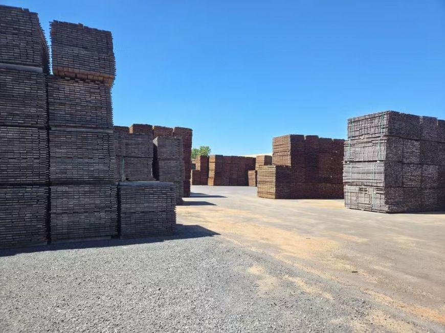 Indústria madeireira de MT dá férias coletivas para 130 funcionários após tarifa de 50% imposta pelos EUA