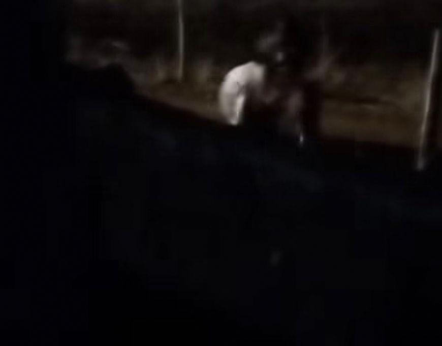 Menores são flagrados praticando atos com animais em Canarana(MT)