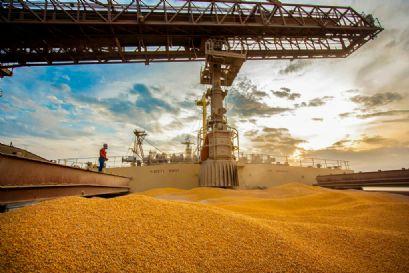 Movimentação de soja e milho no Arco Amazônico cresceu 288%