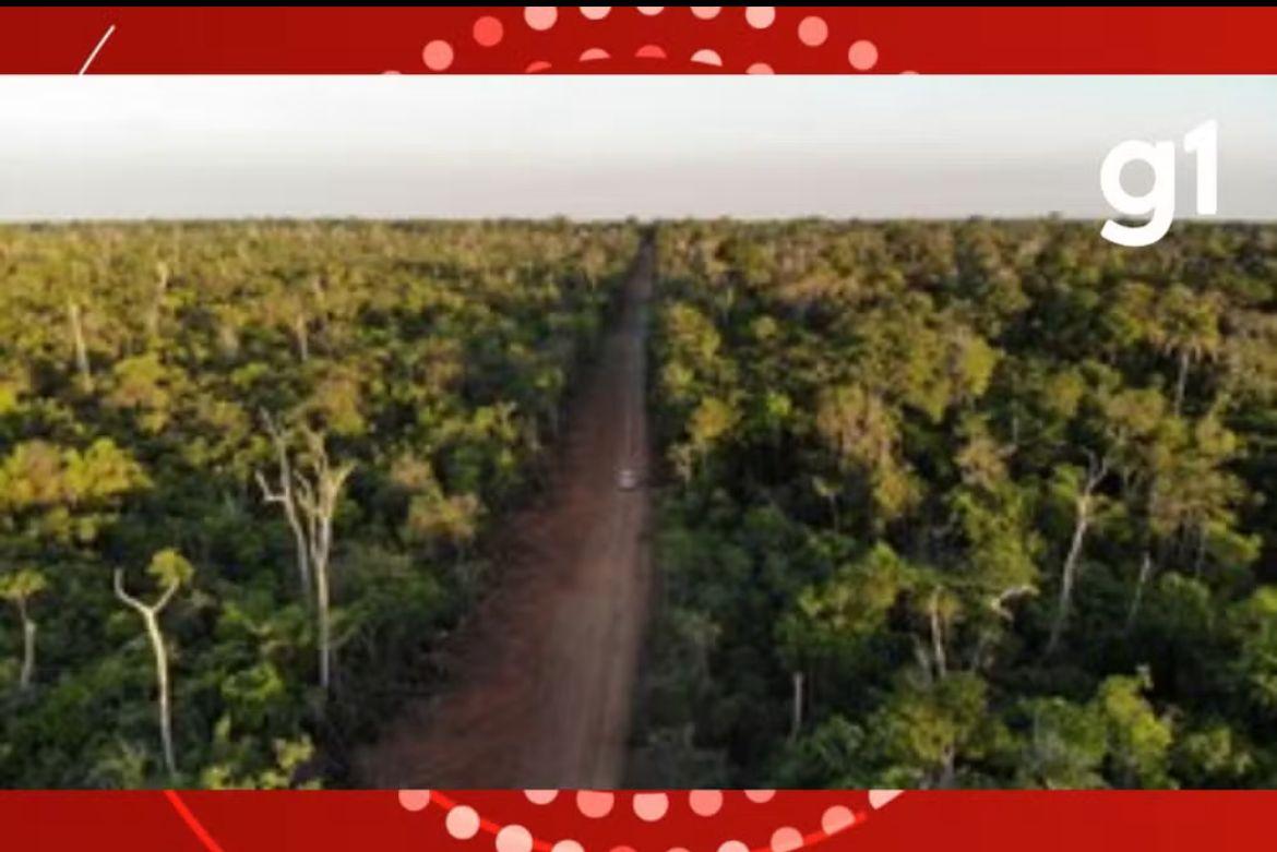 MPF investiga construção de estrada dentro da Terra Indígena Parque do Xingu em MT