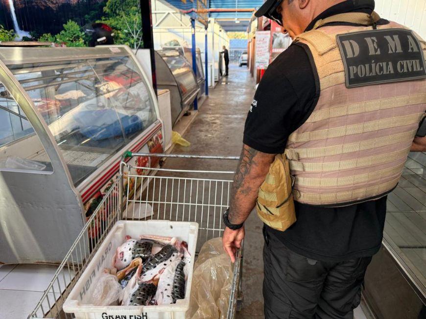 Polícia combate comércio ilegal de pescado na Feira do Porto em Cuiabá e apreende cerca de três toneladas